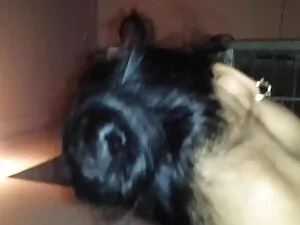 Mamo, jej mamuski le ...