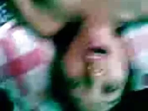 Kotek ostre mamuski  ...